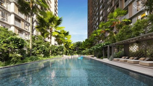 Bể bơi 50m trong The Senique Hanoi
