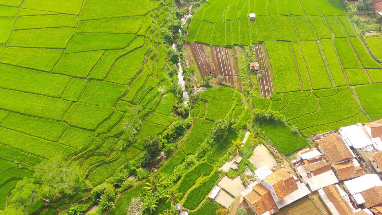 Sai lầm thường gặp nhất chính là làm việc không có hợp đồng