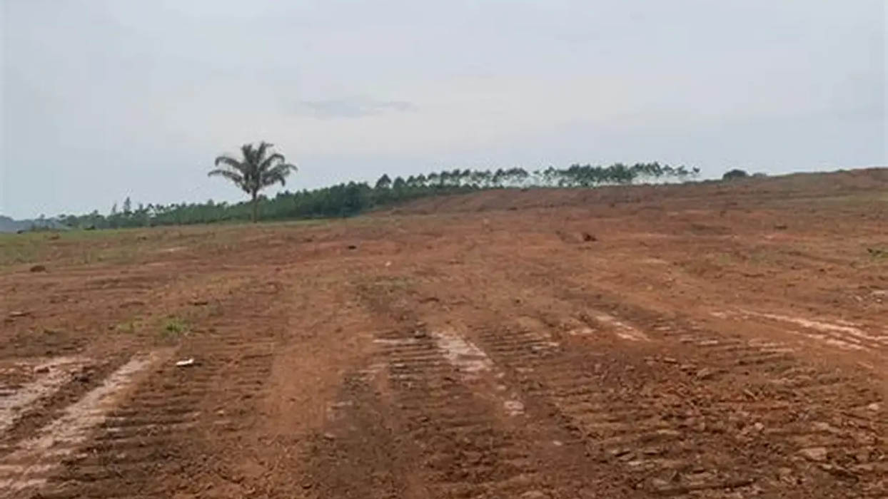 Luật 2024 yêu cầu thông tin quy hoạch sử dụng đất phải chi tiết đến từng thửa đất
