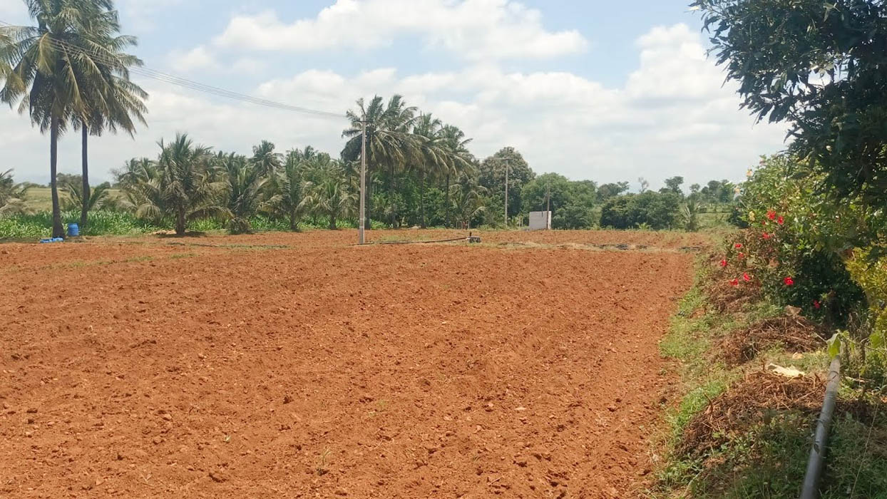 Đất chưa sử dụng là loại đất chưa xác định mục đích sử dụng
