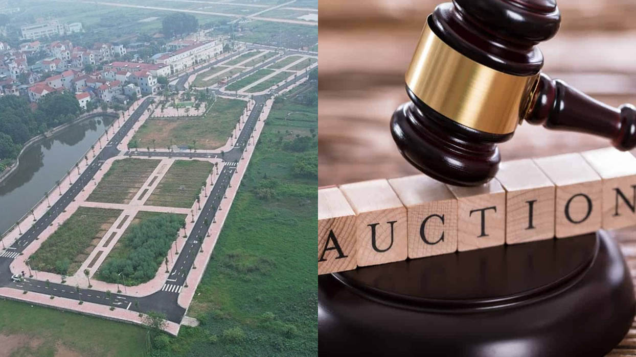 Đất đấu giá do Nhà nước tổ chức bán công khai thông qua hình thức đấu giá