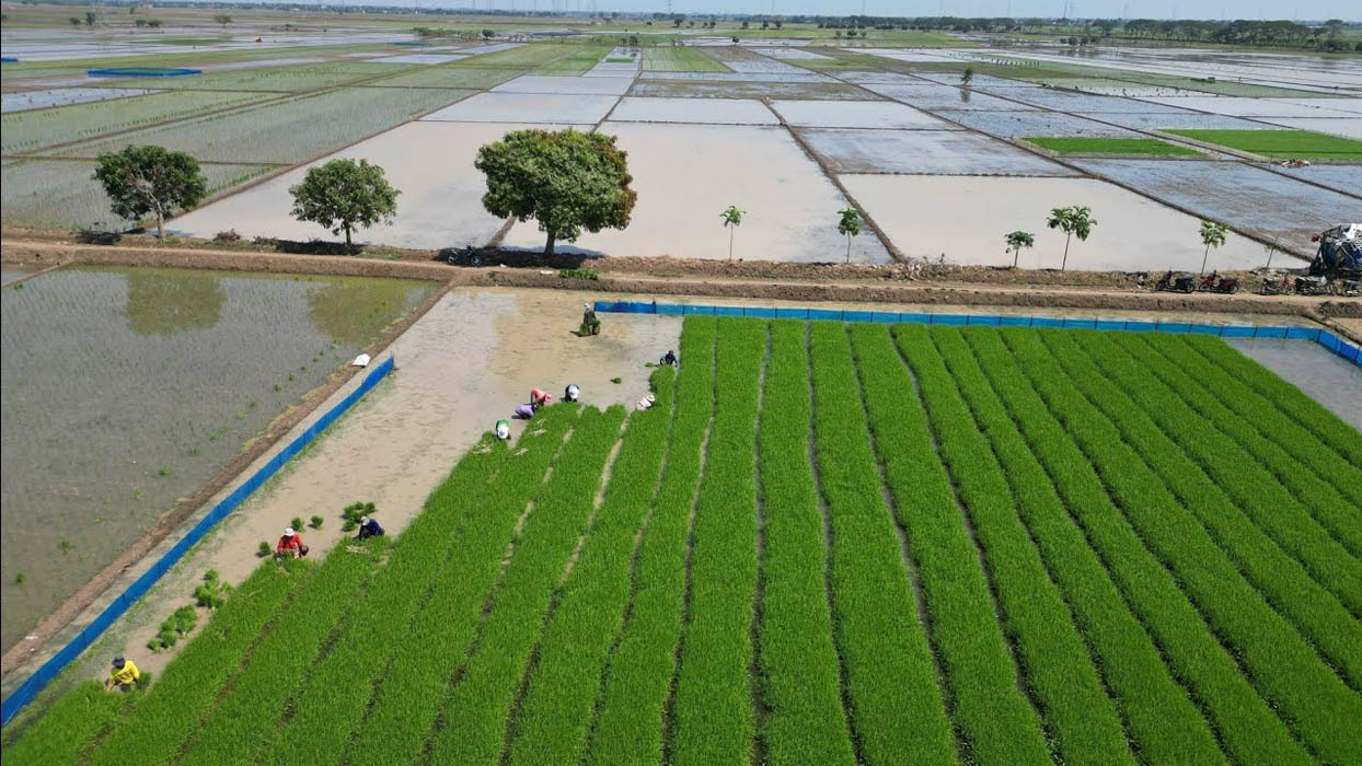 Đất ONT có thời hạn sử dụng lâu dài