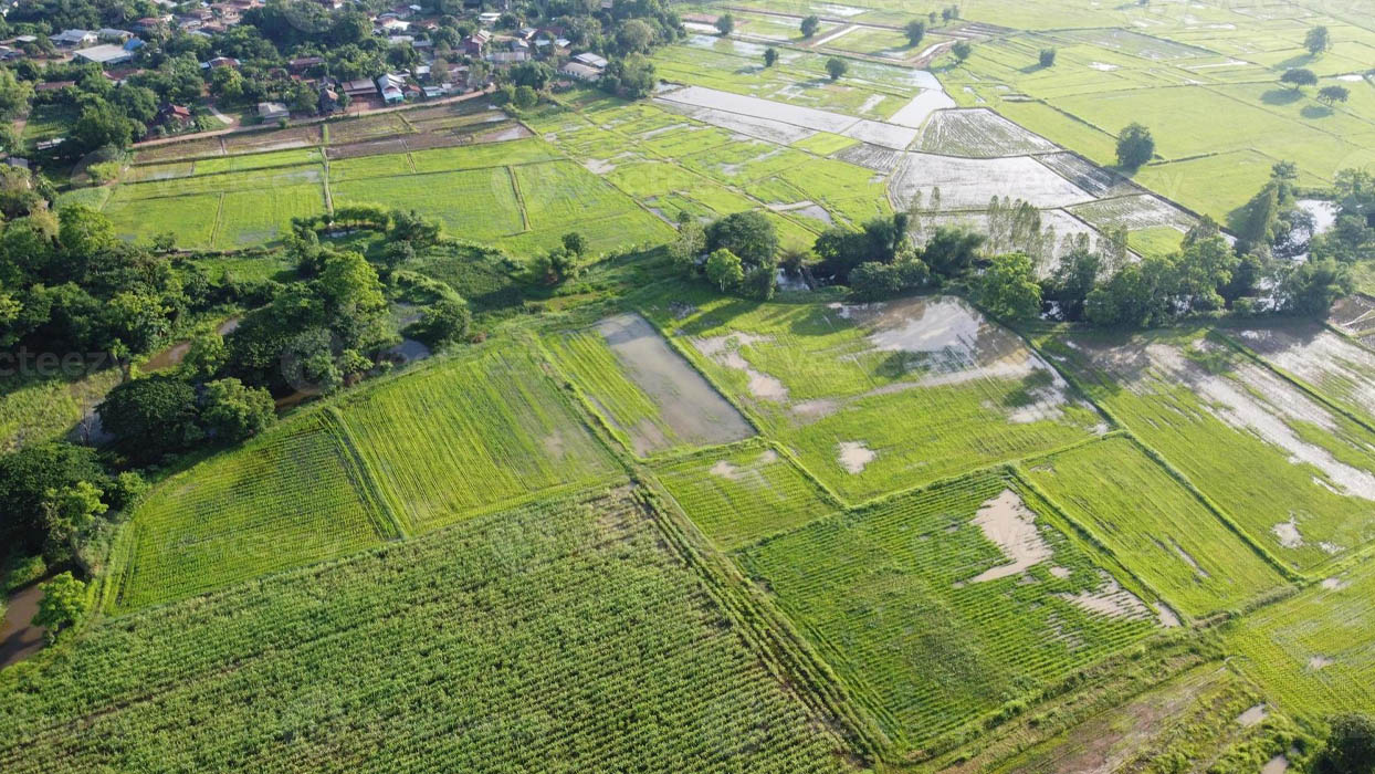 Đất ONT là đất ở thuộc địa giới hành chính cấp xã