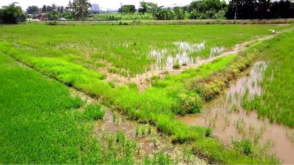 Hạn mức giao đất ONT không có một con số chuẩn áp dụng toàn quốc