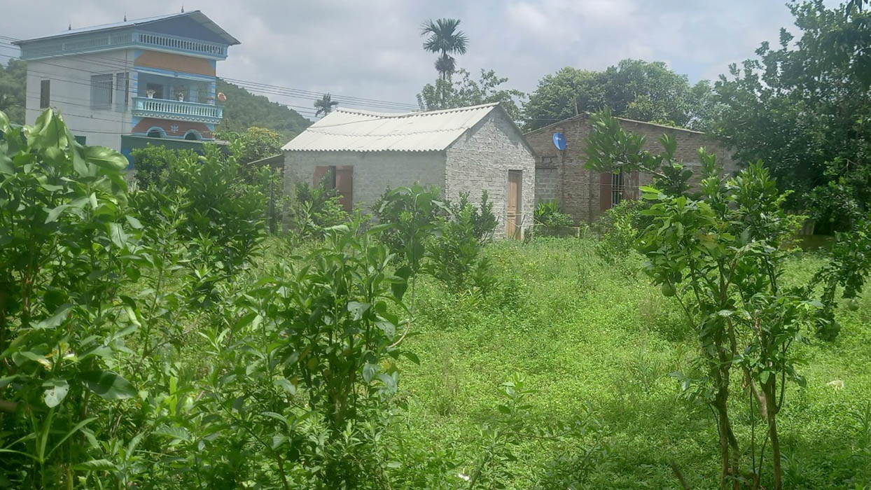 Đất vườn nằm trong cùng thửa với nhà ở