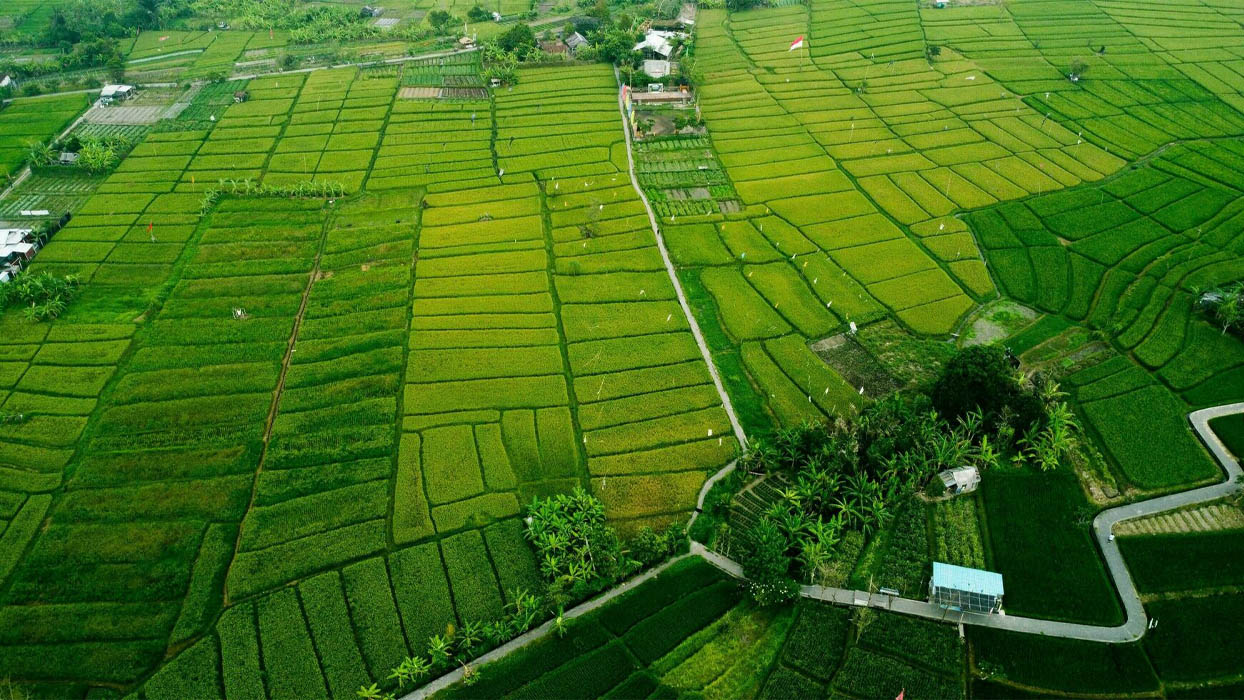 Đấu giá và đấu thầu đều là hình thức Nhà nước lựa chọn nhà đầu tư theo Khoản 1 Điều 29 Luật Đầu tư 2020