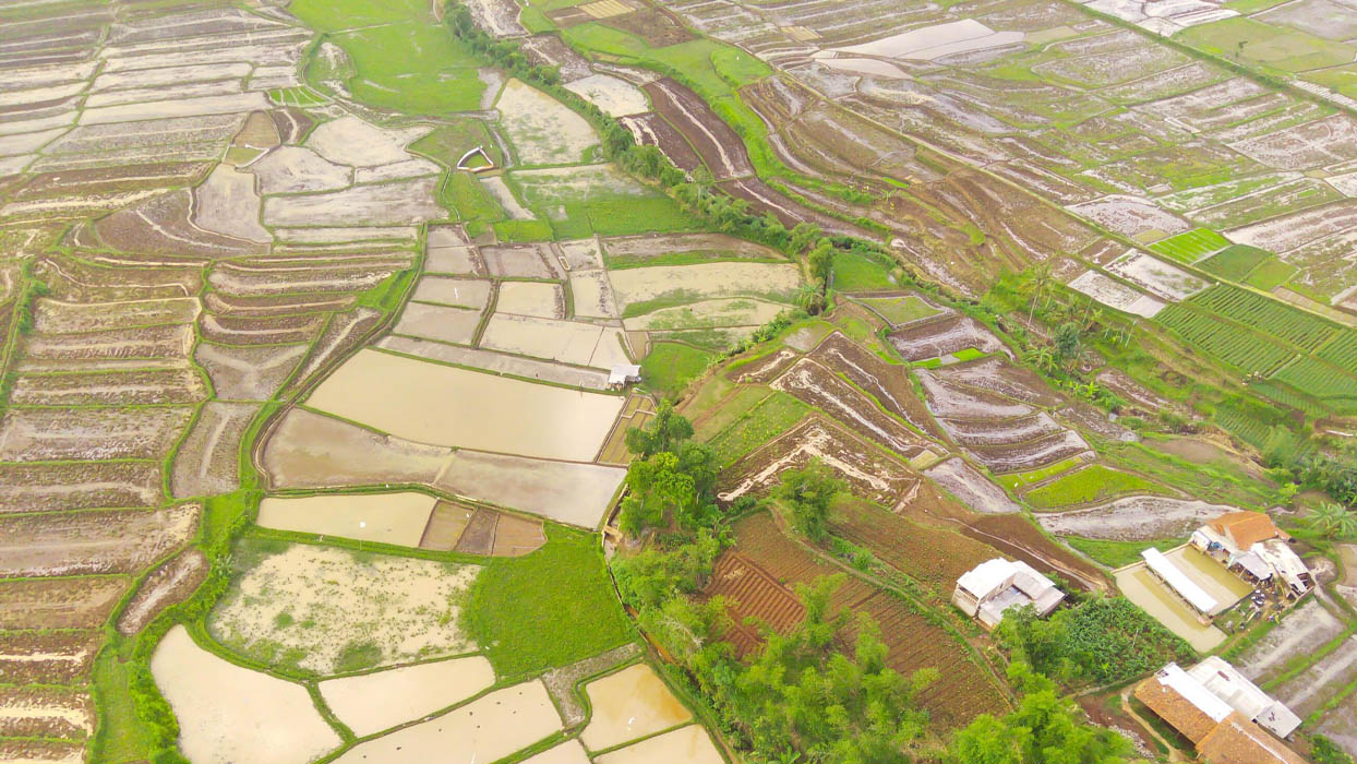 doanh nghiệp không tham gia đấu giá hay đấu thầu, mà tự thỏa thuận với người đang sử dụng đất để nhận chuyển nhượng