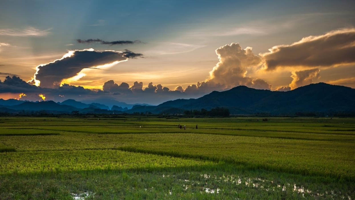 Farmstay là nơi du khách có thể tham gia trực tiếp vào các hoạt động sản xuất nông nghiệp