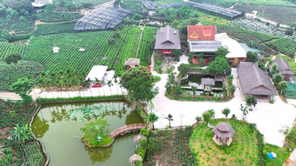 Farmstay phục vụ chủ yếu cho nhu cầu trải nghiệm văn hóa nông thôn