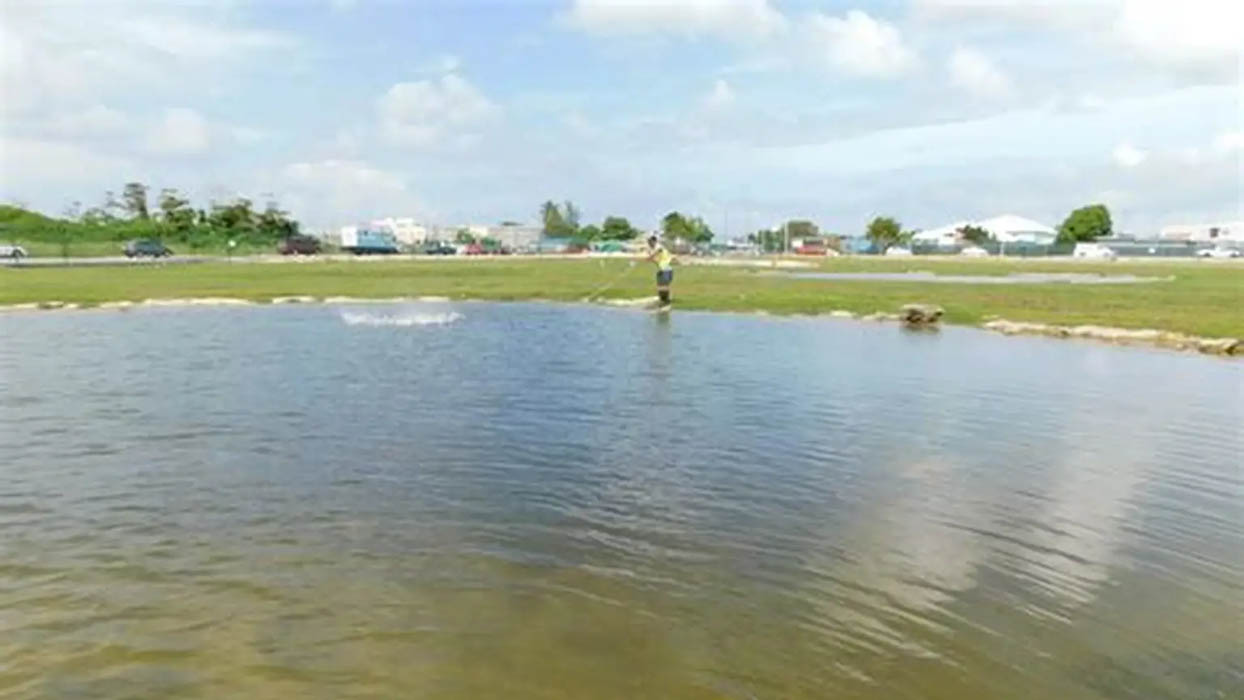 Đất bãi bồi và đất có mặt nước ven biển ít phổ biến hơn