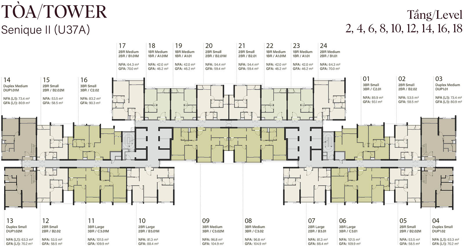 Mặt bằng tầng 2, 4, 6, 8, 10, 12, 14, 16, 18 tòa Senique 2