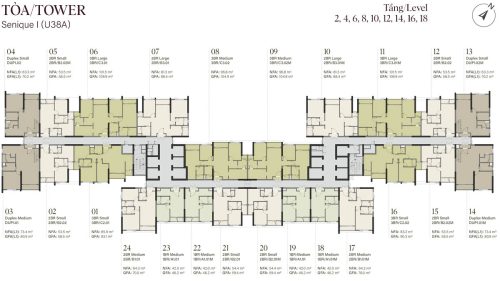 Mặt bằng tầng 2, 4, 6, 8, 10, 12, 14, 16, 18 tòa Senique I