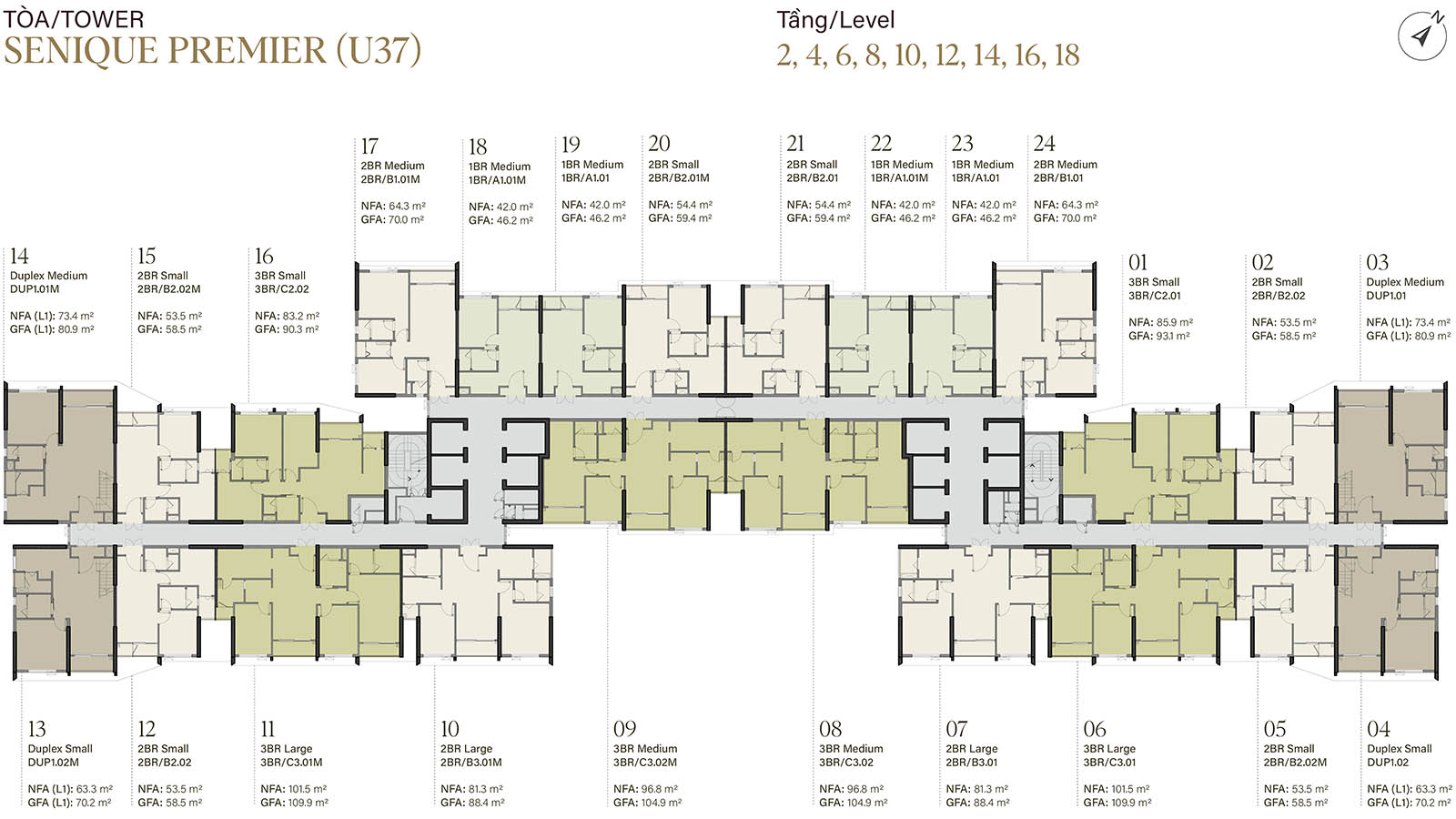 Mặt bằng tầng 2, 4, 6, 8, 10, 12, 14, 16, 18 tòa Senique Premier