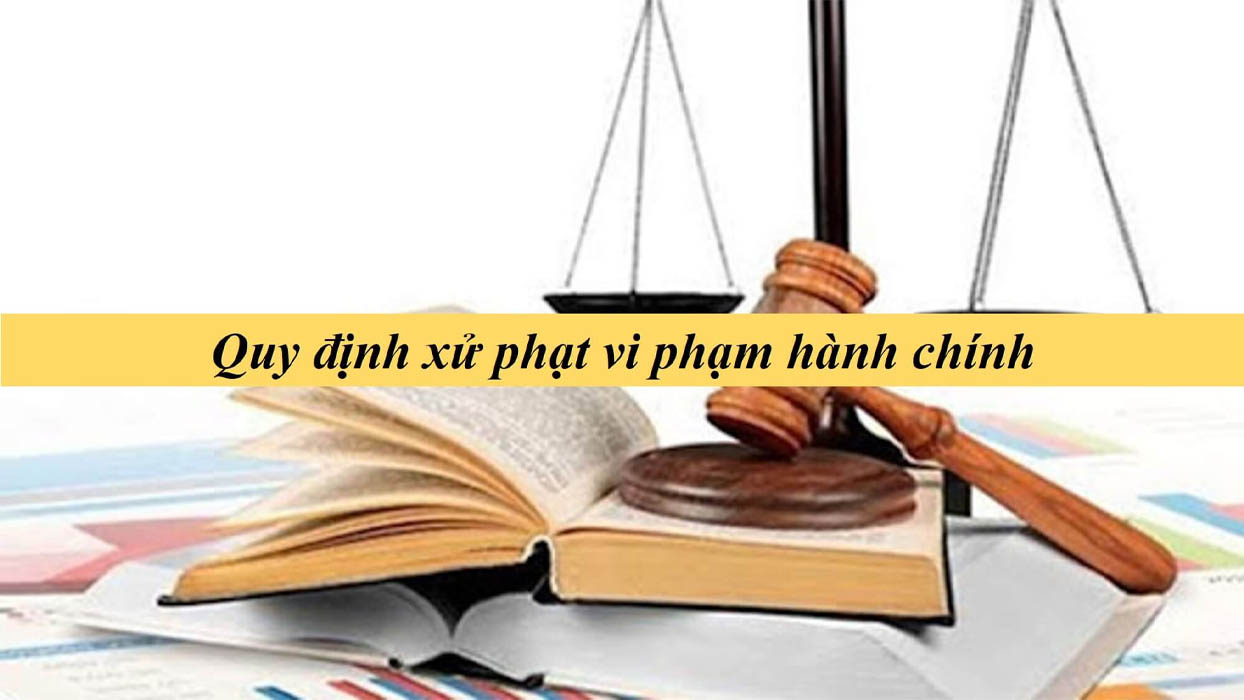 Một số vi phạm thường gặp là không tổ chức hoặc tổ chức không đầy đủ chương trình đào tạo cho đội ngũ quản lý
