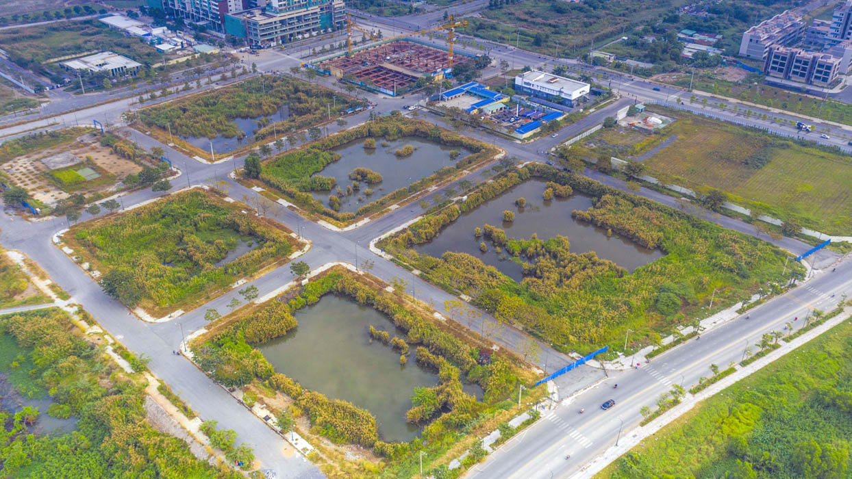 Thửa đất được đưa ra đấu giá phải đáp ứng các yêu cầu