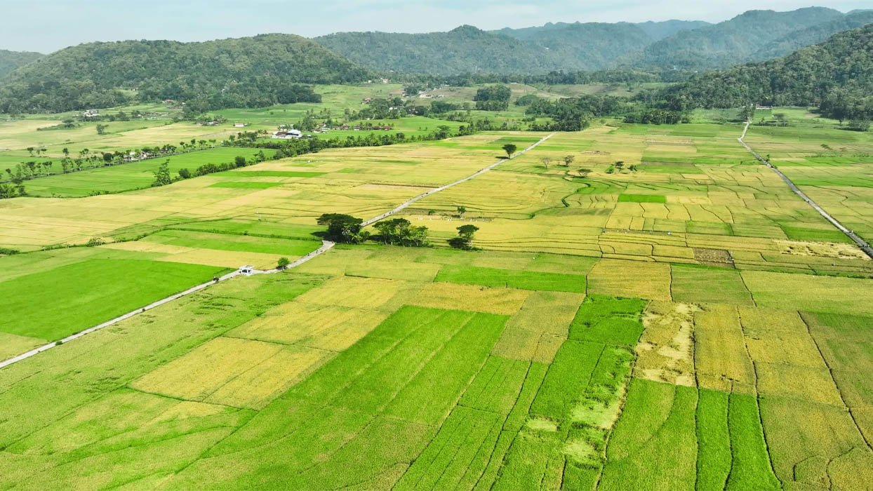 Phần diện tích sàn xây dựng trong công trình xây dựng là những "lô", "sàn", "ô" nằm bên trong một công trình lớn hơn